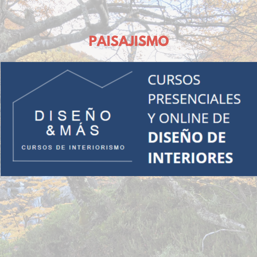 PAISAJISMO